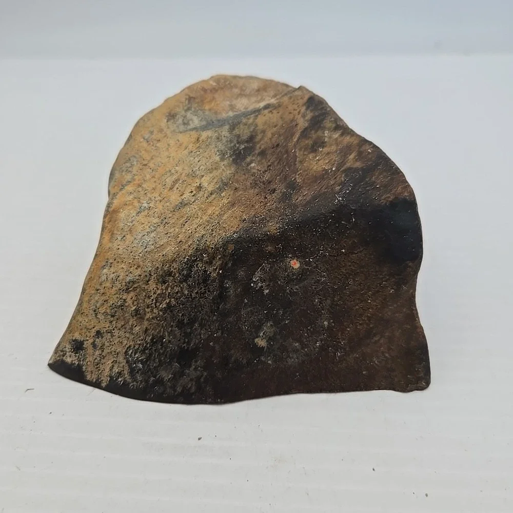 Unique Rock / Fossil Lot‎ Of 3